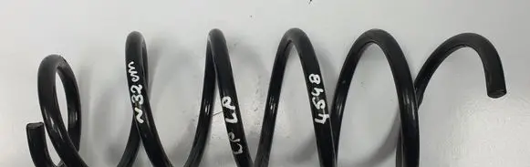 Smart ForFour I Front coil spring 454