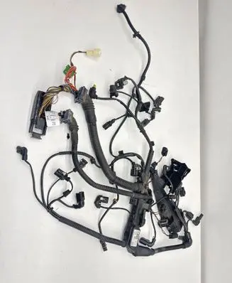 Other wiring loom