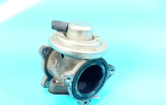 EGR valve