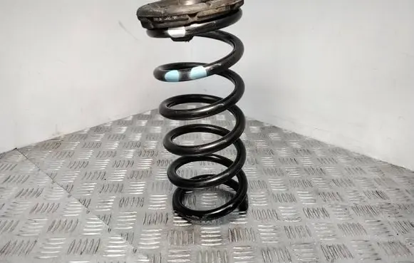 Chevrolet Captiva Rear coil spring