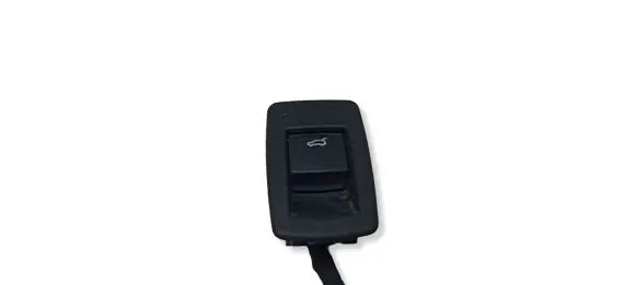 BMW X1 F48 F49 Tailgate opening switch 9299447