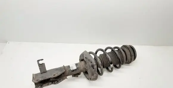 Opel Insignia A Front shock absorber with coil spring 13245976