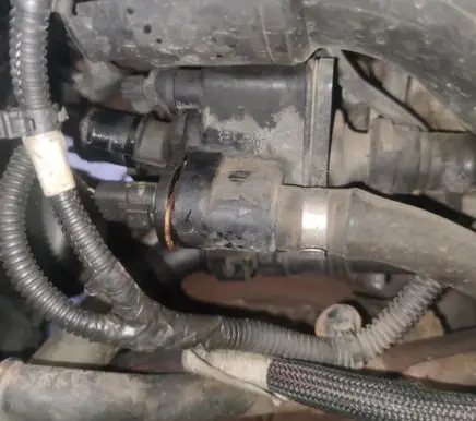 Citroen Nemo Engine coolant pipe/hose