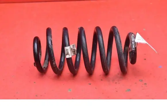 Opel Mokka Rear coil spring 95107103