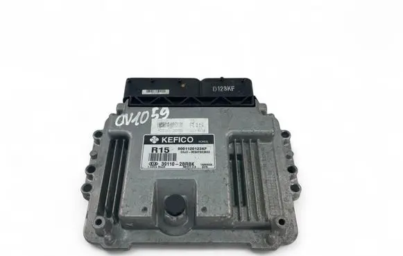 Engine control unit/module ECU