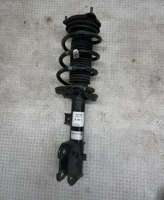 Hyundai Santa Fe Front shock absorber/damper