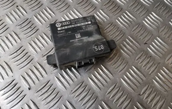 Volkswagen PASSAT B6 Gateway control module 3C0907530C 3C0907951A