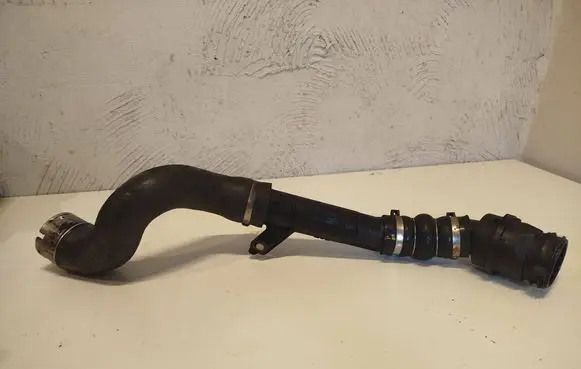 Renault Kangoo II Intercooler hose/pipe 1085605S02
