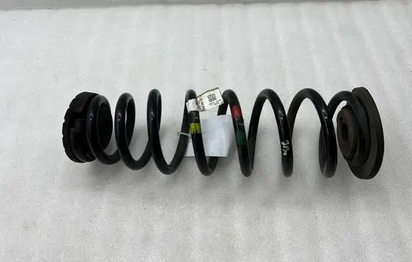 Rear coil spring