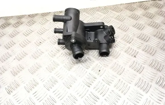 Thermostat/thermostat housing