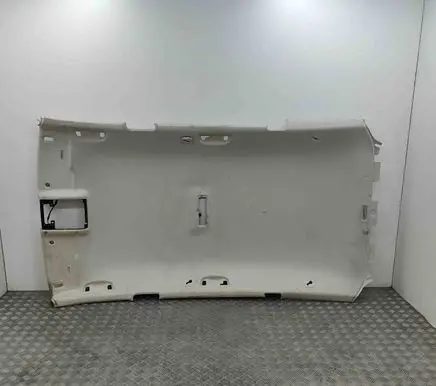 Volkswagen PASSAT B8 Headlining 3G9867501Q