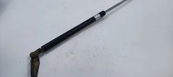 Subaru Outback Tailgate/trunk strut/damper