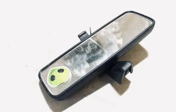 Fiat Bravo Rear view mirror (interior) e3011028