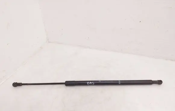 Tailgate/trunk strut/damper