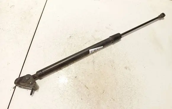Tailgate/trunk strut/damper