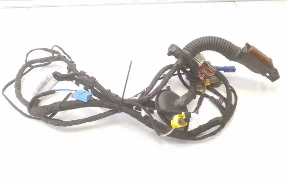 Front door wiring loom