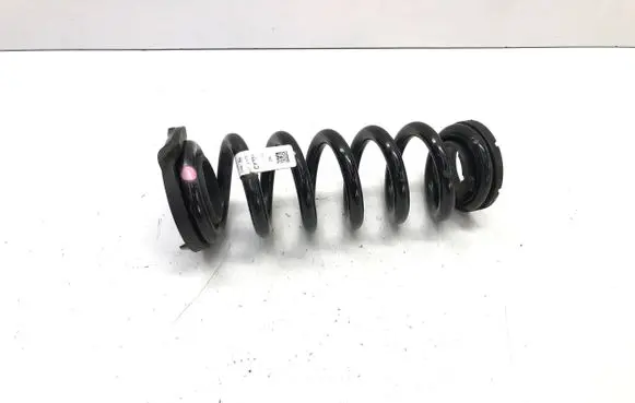 Ford Mustang Mach-E Rear coil spring LJ9C5560BNG