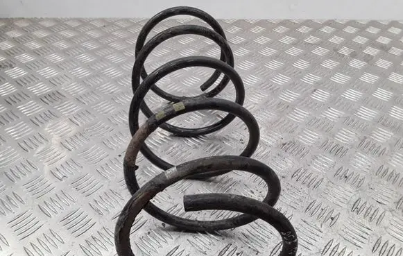 Peugeot 206 Front coil spring