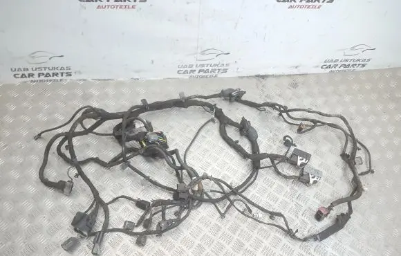 Opel Insignia A Other wiring loom 13438742