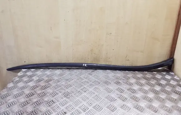 Windshield trim