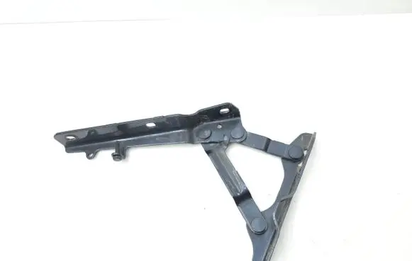 Tesla Model S Engine bonnet/hood hinges 600673700E