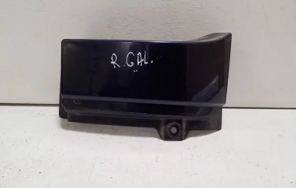 Rear/tail light trim molding