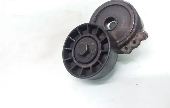 Citroen Xsara Picasso Generator/alternator belt tensioner