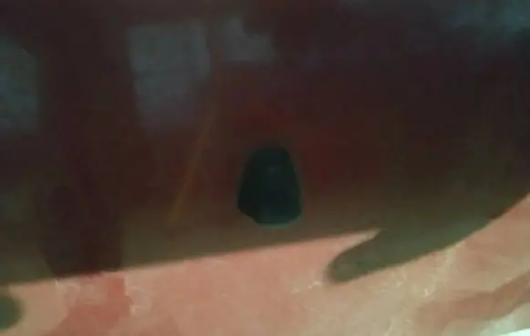 Windshield washer spray nozzle