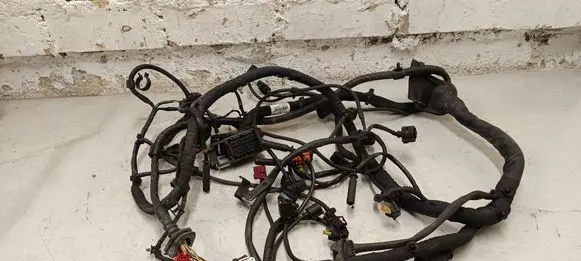 Engine installation wiring loom
