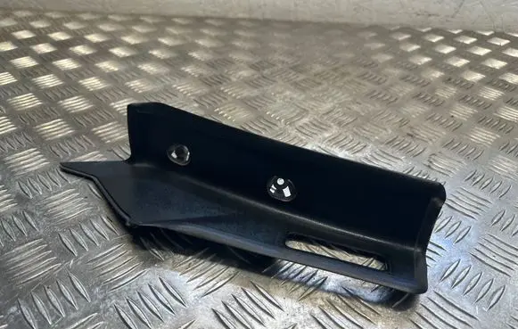 Rear/tail light trim molding