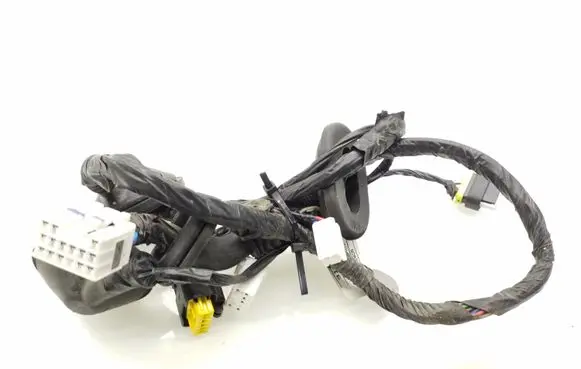 Rear door wiring loom