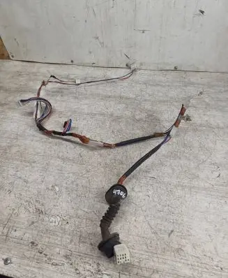 Rear door wiring loom
