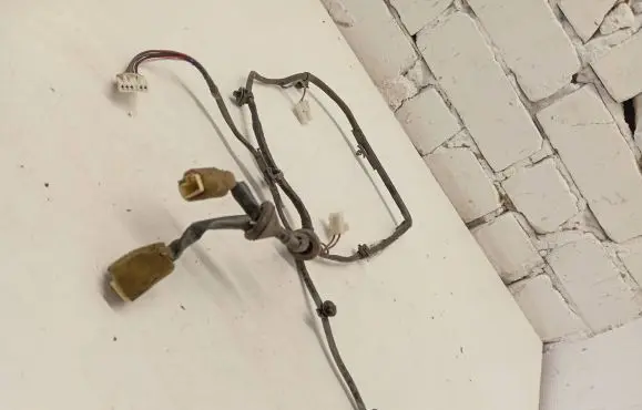 Rear door wiring loom