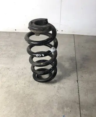 Rear coil spring