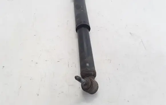 Renault Scenic III - Grand scenic III Rear shock absorber/damper 562100018R