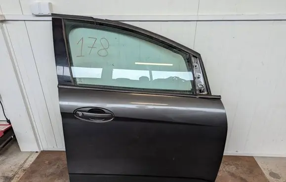 Ford Grand C-MAX Front door