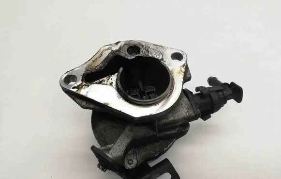 Nissan Qashqai Vacuum pump 8201005306