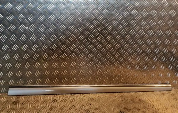 Mercedes-Benz S W220 Front door trim (molding) 2206900662