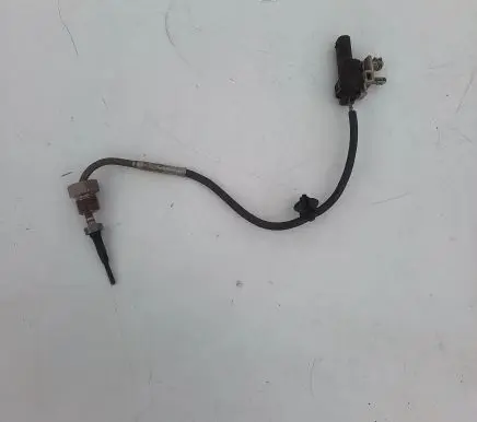 Exhaust gas temperature sensor