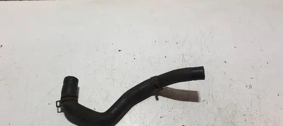 Dacia Sandero II Engine coolant pipe/hose 213082880R