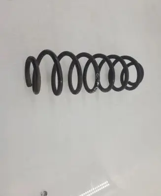 Ford B-MAX Rear coil spring
