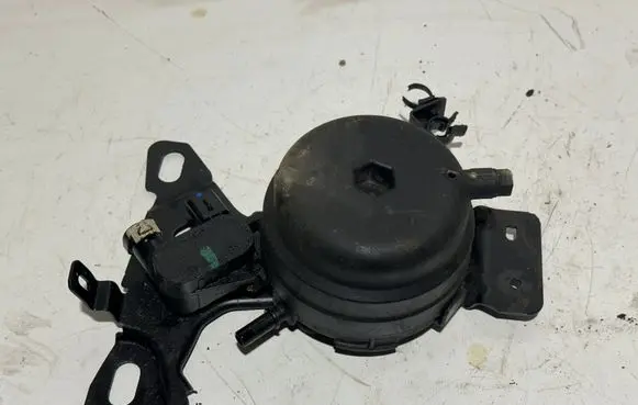 Peugeot 308 Fuel filter 