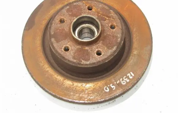 Renault Scenic RX Rear brake disc