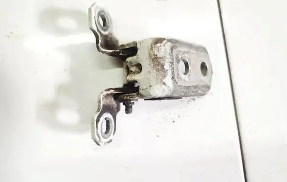 Renault Laguna II Rear door lower hinge