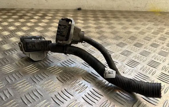 KIA EV6 Other wiring loom 