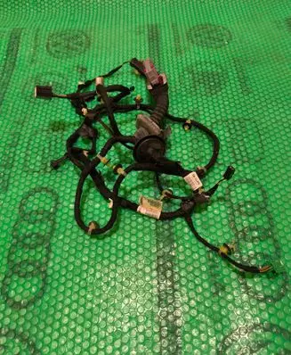 Chevrolet Volt II Rear door wiring loom 