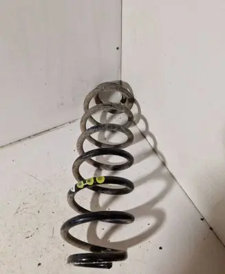 Rear coil spring