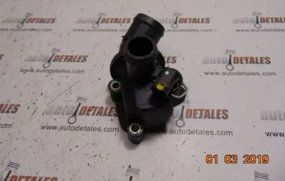 Thermostat/thermostat housing