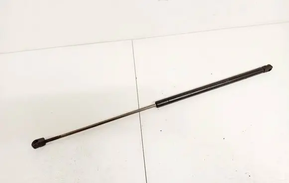 Tailgate/trunk strut/damper