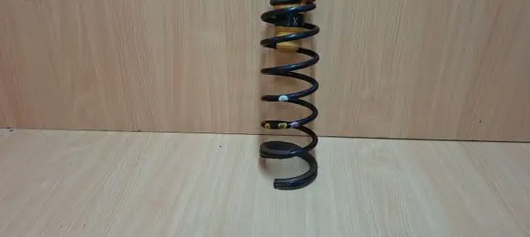 Citroen DS5 Rear coil spring 9803482980 516690